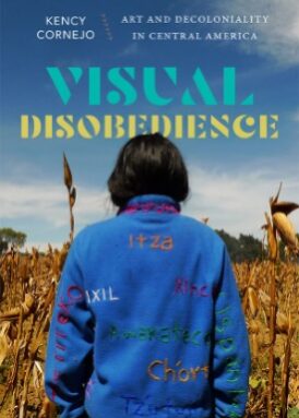 Visual Disobedience book cover